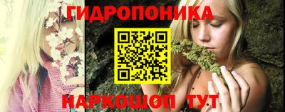 спиды Можга